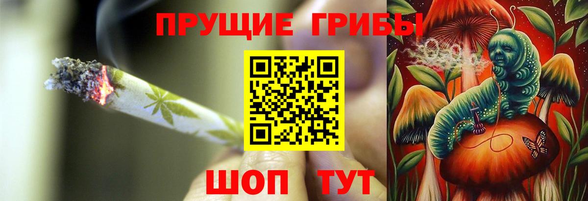 Сунжа  Галлюциногенные грибы Cubensis  Вход с VPN 
