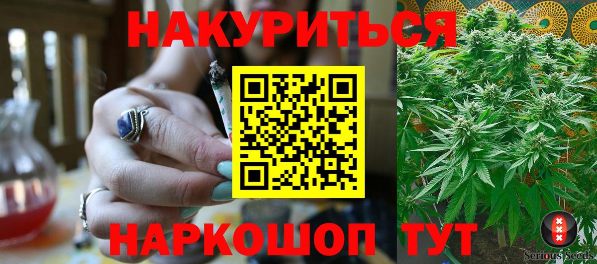 Конопля конопля  Вход с VPN  Сунжа  МАРИХУАНА сатива 